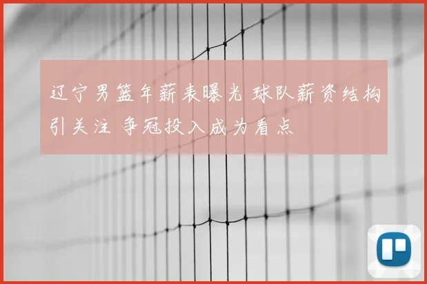 辽宁男篮年薪表曝光 球队薪资结构引关注 争冠投入成为看点