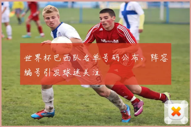 世界杯巴西队名单号码公布,阵容编号引发球迷关注