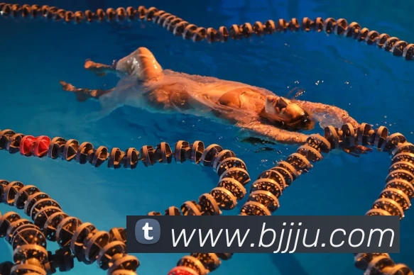 华会体育官网APP 封面图